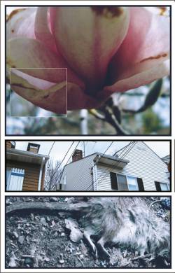 Embrace Me || Erase Me